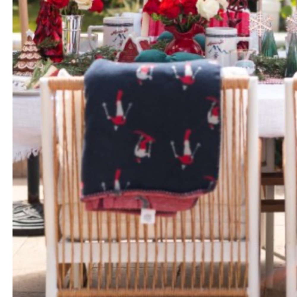 Mark & Graham Thick Fleece Ski Print Blanket‎ Blue and Red 50”w x .25”d x 60”h